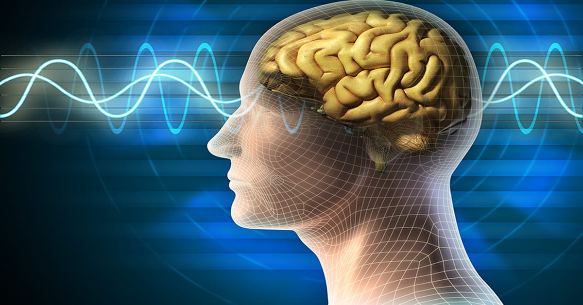 How Do Opiates Work in the Brain?
